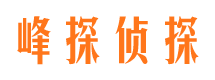 迭部市场调查